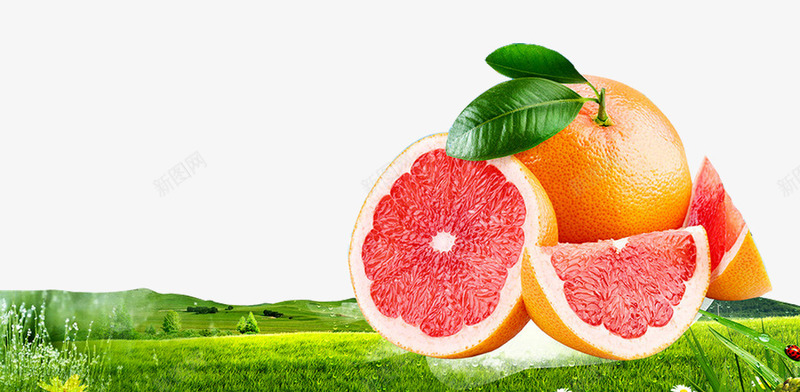 新鲜柚子广告png免抠素材_新图网 https://ixintu.com 切面 新鲜柚子 果肉 柚子 柚子果肉 红心柚子 红心西柚 纯天然水果