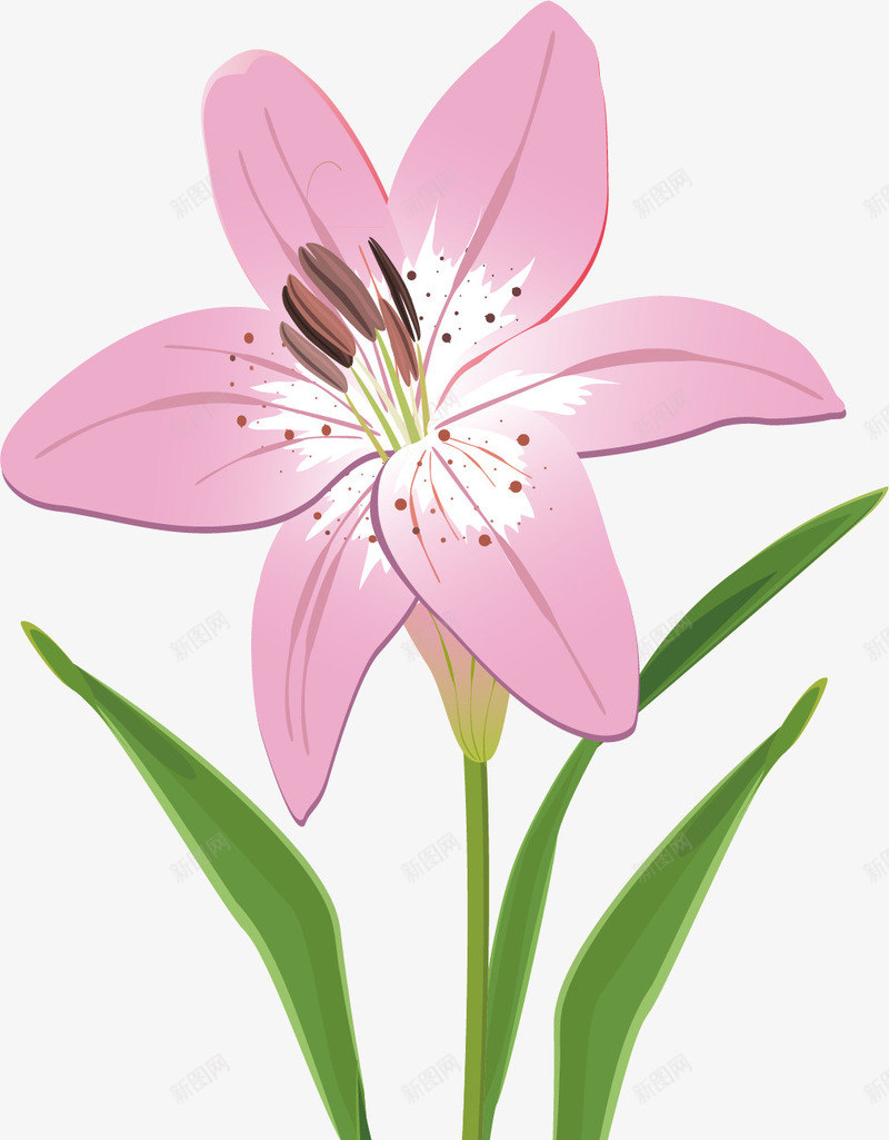 卡通花
