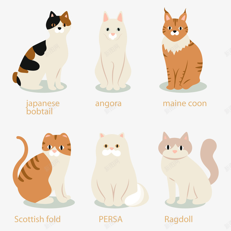 可爱猫咪png免抠素材_新图网 https://ixintu.com 安哥拉猫 宠物 布偶猫 波斯猫 波斯猫插画 猫