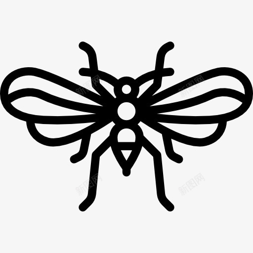 Psocoptera图标png_新图网 https://ixintu.com 动物 昆虫 昆虫学 瘟疫