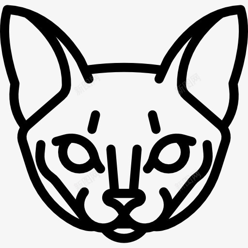 阿比西尼亚猫图标png_新图网 https://ixintu.com 动物 品种 宠物 猫 猫咪