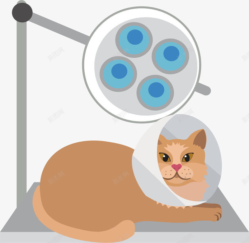 进行绝育手术的猫咪矢量图ai免抠素材_新图网 https://ixintu.com 医疗行业 猫咪 猫咪手术 矢量png 绝育 绝育手术 矢量图