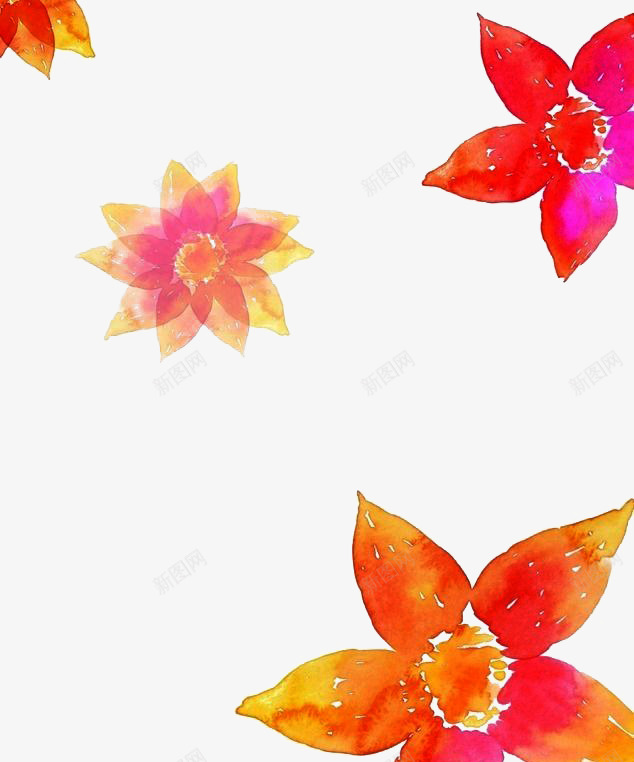橘色花朵边框png免抠素材_新图网 https://ixintu.com 小清新 暖色 橘色 背景 装饰 边框