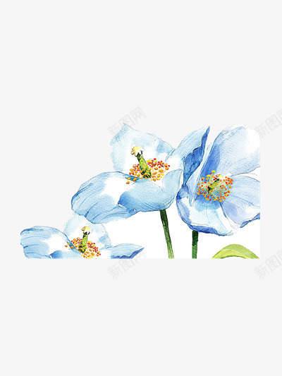 手绘蓝色百合花png免抠素材_新图网 https://ixintu.com 唯美 梦幻 百合 百合花 蓝色