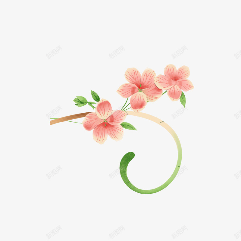 花卉元素png免抠素材_新图网 https://ixintu.com 喇叭花 水彩 牵牛花 花儿 花卉 花卉元素 鲜花