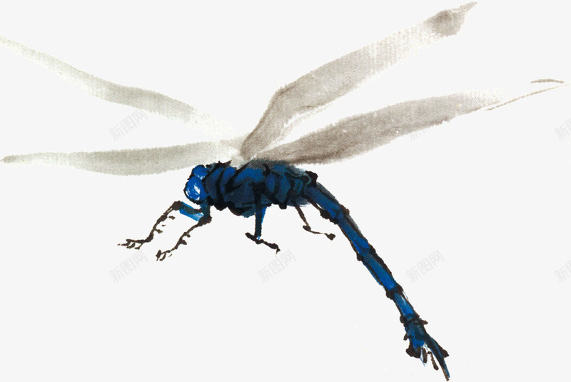 蓝色昆虫蜻蜓png免抠素材_新图网 https://ixintu.com 昆虫 蓝色 蜻蜓