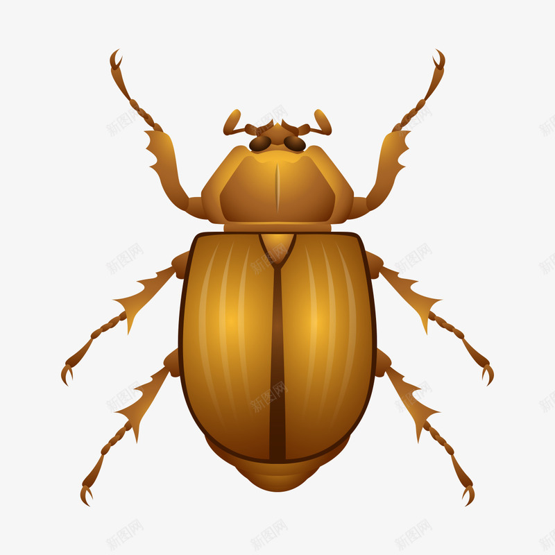 卡通昆虫图标png_新图网 https://ixintu.com 图标 插图 昆虫 标识 背景图 虫子 金色虫
