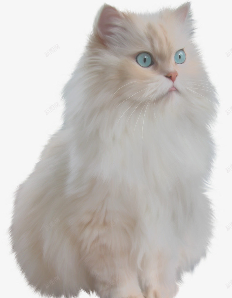 线描花草花卉pspng免抠素材_新图网 https://ixintu.com 国画花卉素材 植物花卉 植物花卉素材 花卉ps素材 花草线描 花草背景素材 装饰图片