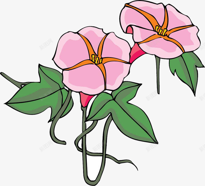 手绘粉色古风喇叭花png免抠素材_新图网 https://ixintu.com 古风 喇叭花 粉色