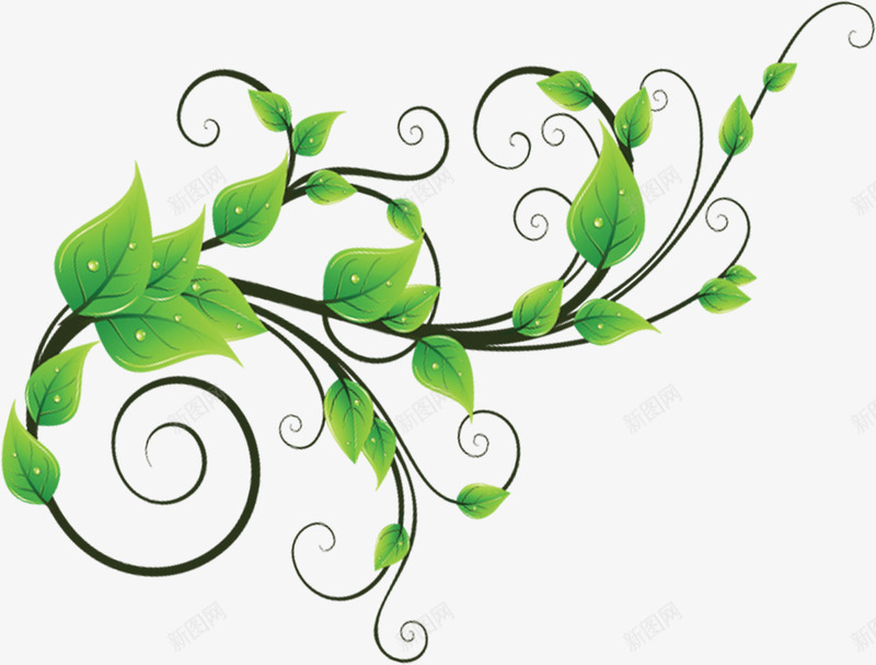绿色园林植物枝条美景png免抠素材_新图网 https://ixintu.com 园林 枝条 植物 绿色 美景