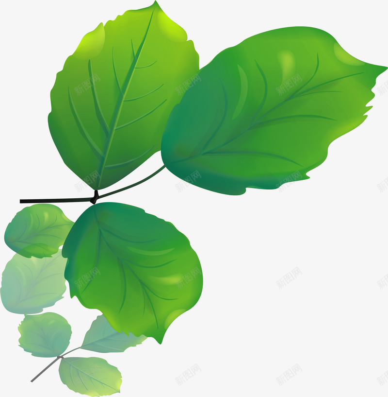 手绘质感树叶造型效果合成png免抠素材_新图网 https://ixintu.com 合成 效果 树叶 质感 造型