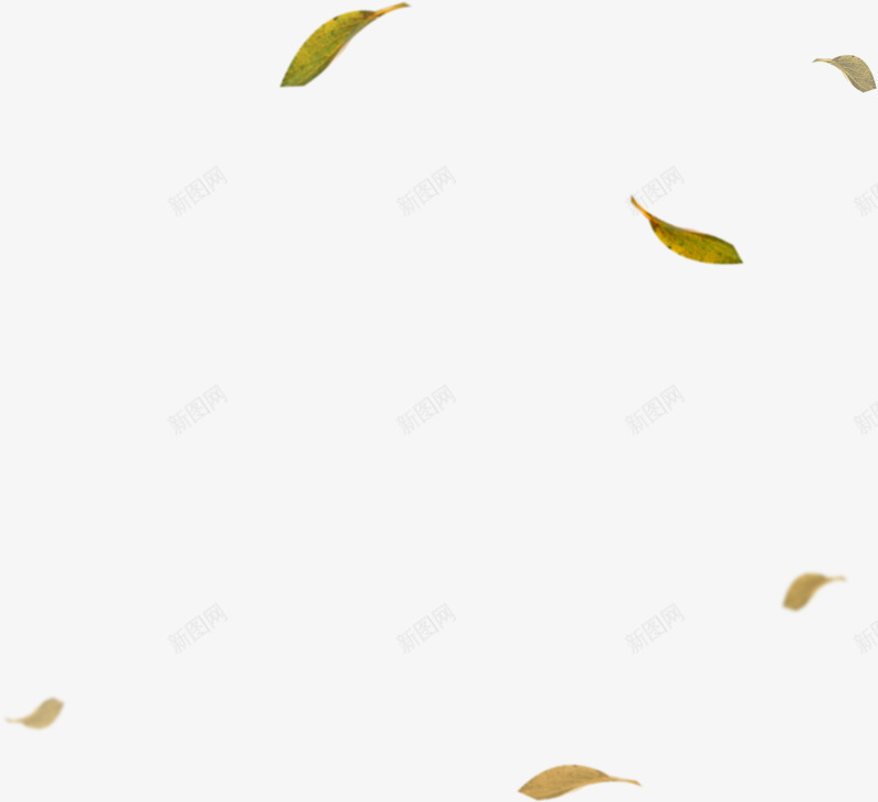 卡通漂浮绿色清爽树叶png免抠素材_新图网 https://ixintu.com 卡通 树叶 清爽 漂浮 绿色