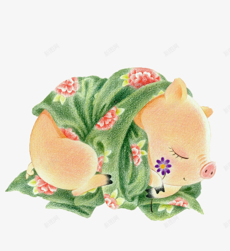 蜡笔绘小猪png免抠素材_新图网 https://ixintu.com 可爱 大肥猪 小猪 睡觉 肥猪 胖子 花朵 花纹
