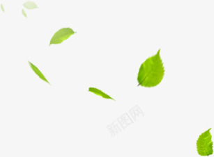 绿色清爽树叶卡通装饰png免抠素材_新图网 https://ixintu.com 卡通 树叶 清爽 绿色 装饰