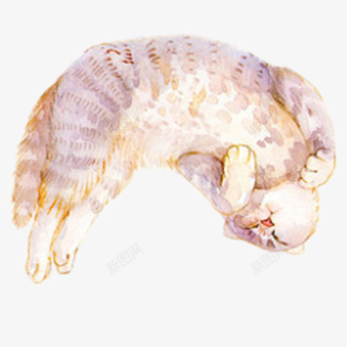翻身的猫咪公社png免抠素材_新图网 https://ixintu.com 动物 咸鱼翻身 宠物 手绘 猫咪 紫色 翻身