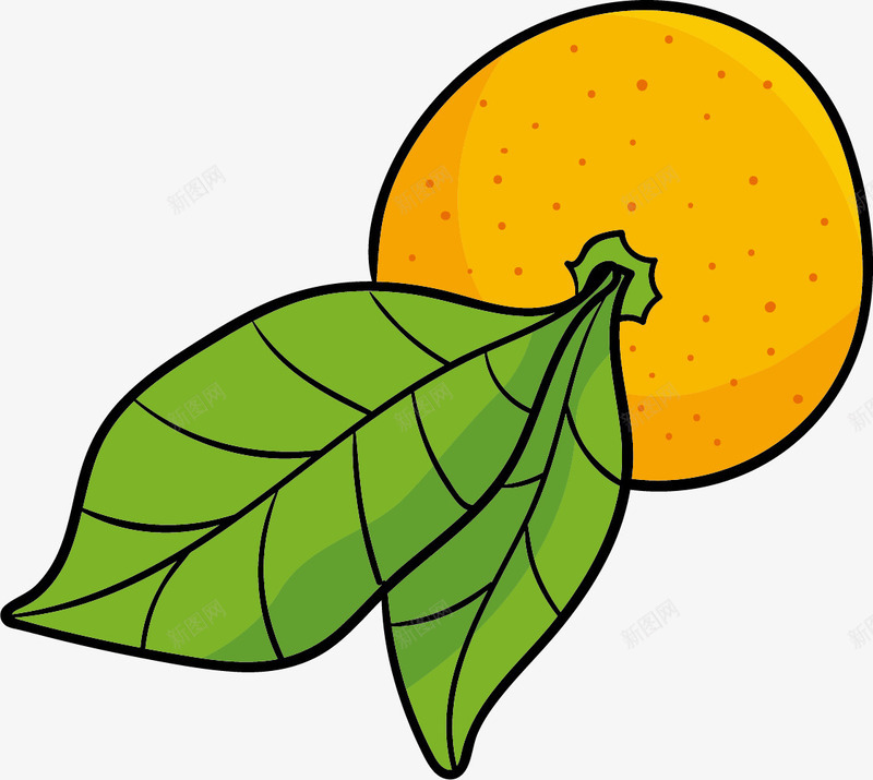 黑色描边卡通水果png免抠素材_新图网 https://ixintu.com 卡通柑橘 描边 柑橘 柑橘果实 水果 黑色线条