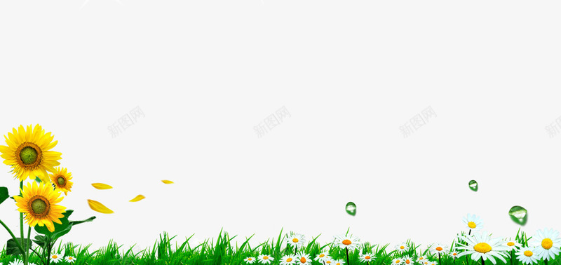 绿色植物psd免抠素材_新图网 https://ixintu.com 向日葵 植物 绿色 草 边框