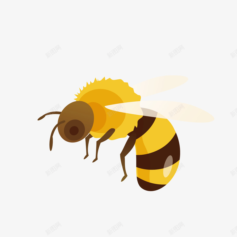 卡通蜜蜂png免抠素材_新图网 https://ixintu.com 勤劳 图案 昆虫 蜜蜂