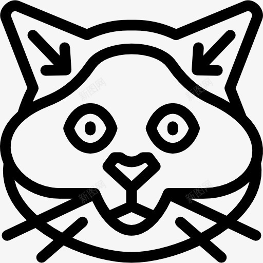 波斯猫图标png_新图网 https://ixintu.com 动物 国内品种 宠物 波斯猫 猫