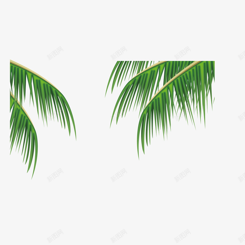 夏日清新椰树树叶矢量图ai免抠素材_新图网 https://ixintu.com 夏日 树叶 椰树 清新 矢量图