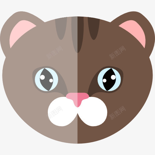 猫图标png_新图网 https://ixintu.com 凯蒂 动物 动物王国 国内 宠物 猫