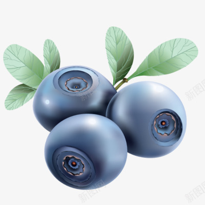 鼠绘蓝莓png免抠素材_新图网 https://ixintu.com 卡通 水果 美味 蓝莓 鼠绘