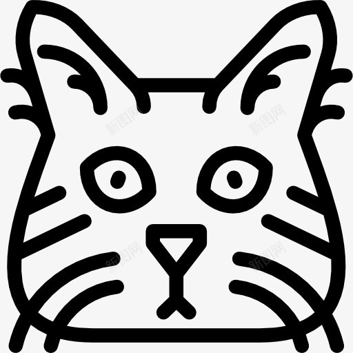 短尾猫图标png_新图网 https://ixintu.com 动物 国内品种 宠物 猫 短尾猫