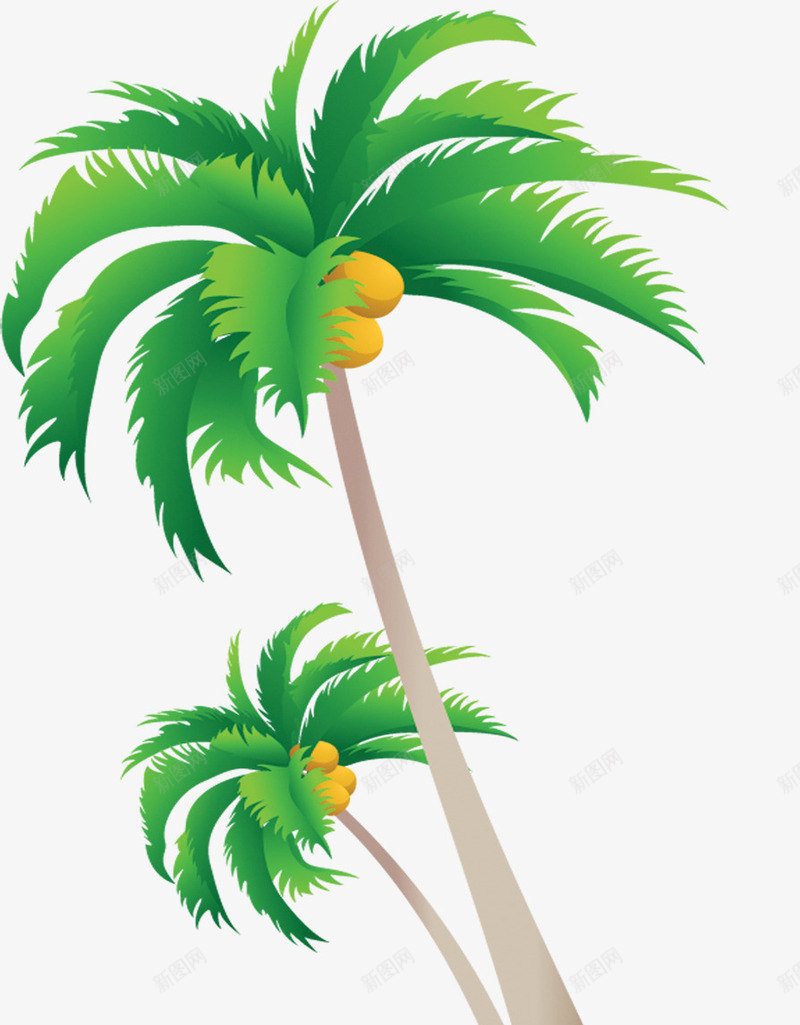 椰树绿色景观植物png免抠素材_新图网 https://ixintu.com 景观 植物 椰树 绿色