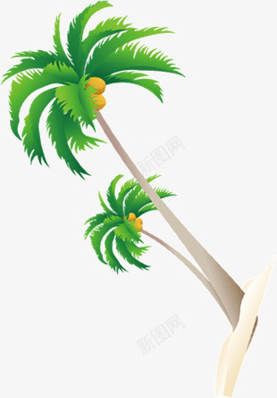 椰树树叶树png免抠素材_新图网 https://ixintu.com 树 树叶 椰树