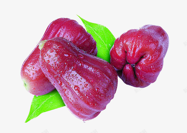 新鲜的洋蒲桃片png免抠素材_新图网 https://ixintu.com 天桃 桃金娘科 水石榴 水蒲桃 爪哇蒲桃 紫蒲桃 莲雾