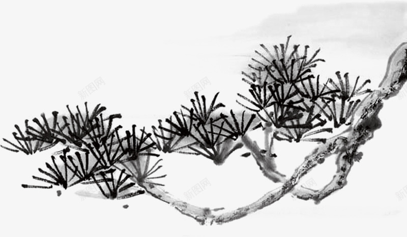 手绘中国风黑色松树png免抠素材_新图网 https://ixintu.com 国风 松树 黑色