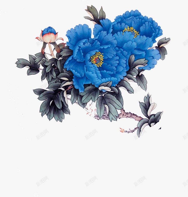 手绘深蓝色高贵花朵png免抠素材_新图网 https://ixintu.com 手绘 深蓝色 花朵 高贵