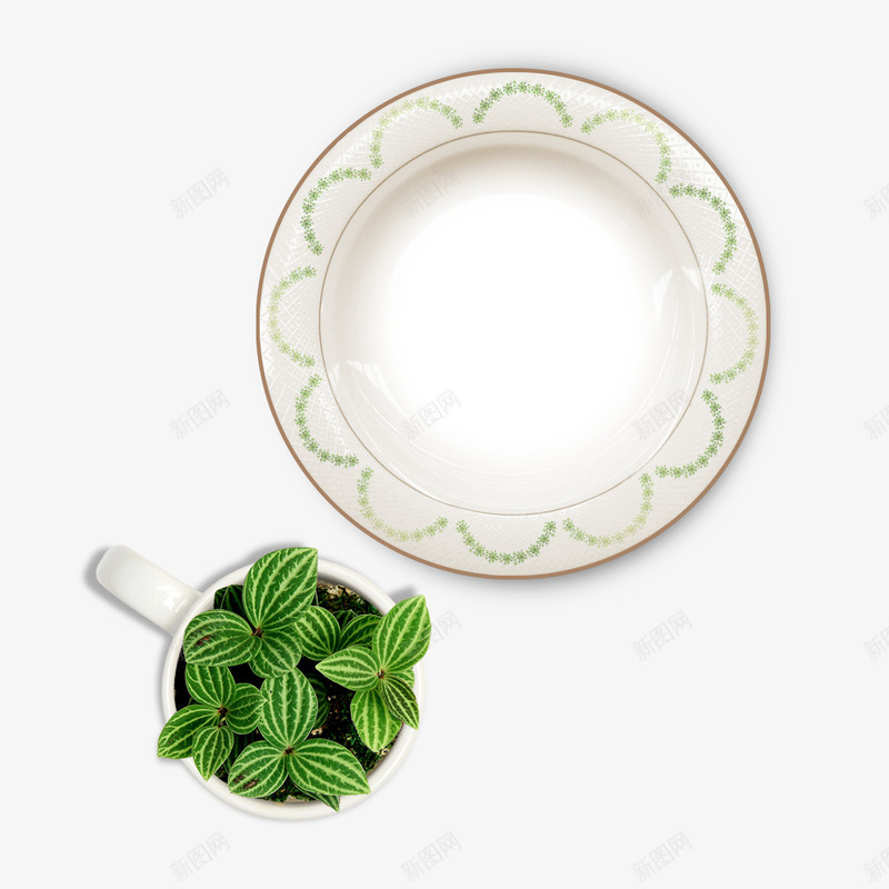 欧式花纹盘子杯子里的绿植psd免抠素材_新图网 https://ixintu.com 杯子 欧式 欧式花纹 盘子 绿植 花纹