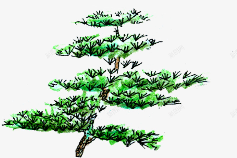 绘画松树风景png免抠素材_新图网 https://ixintu.com 图片 松树 绘画 风景