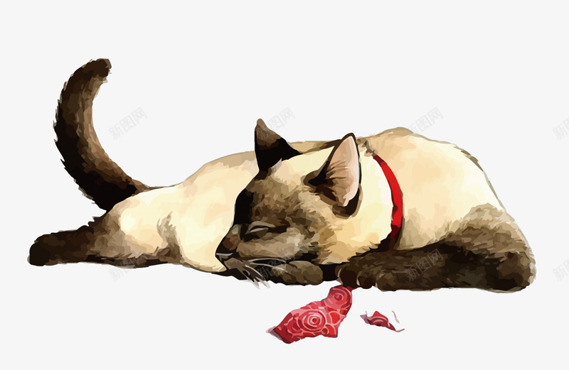 暹罗猫png免抠素材_新图网 https://ixintu.com 宠物 手绘 暹罗猫 水彩 猫