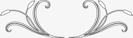 壁纸花矢量图ai免抠素材_新图网 https://ixintu.com 电视墙 矢量壁纸 矢量壁纸花形状 矢量形状 矢量纹理 背景墙 花纹 花边 边框 矢量图