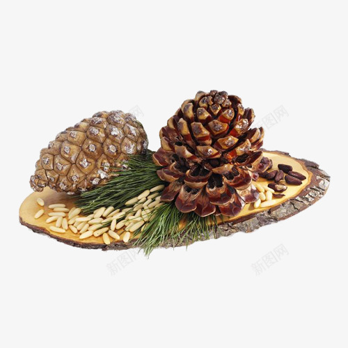 棕色松塔png免抠素材_新图网 https://ixintu.com 产品实物 松塔 松树 植物