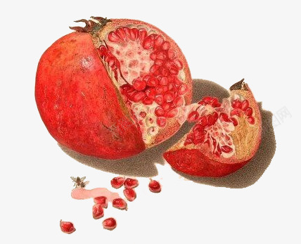 手绘水彩绘画水果石榴png免抠素材_新图网 https://ixintu.com 手绘 水彩 水果 石榴 绘画