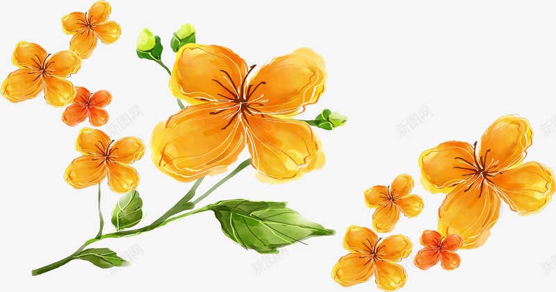 黄色花朵png免抠素材_新图网 https://ixintu.com 一枝水粉花朵 黄色小花