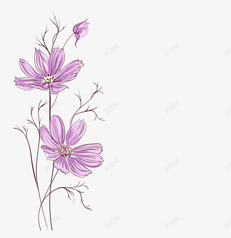 文艺风花朵装饰png免抠素材_新图网 https://ixintu.com 兰花 文艺风装饰 棕色枝条 温馨 紫色花朵 花朵装饰