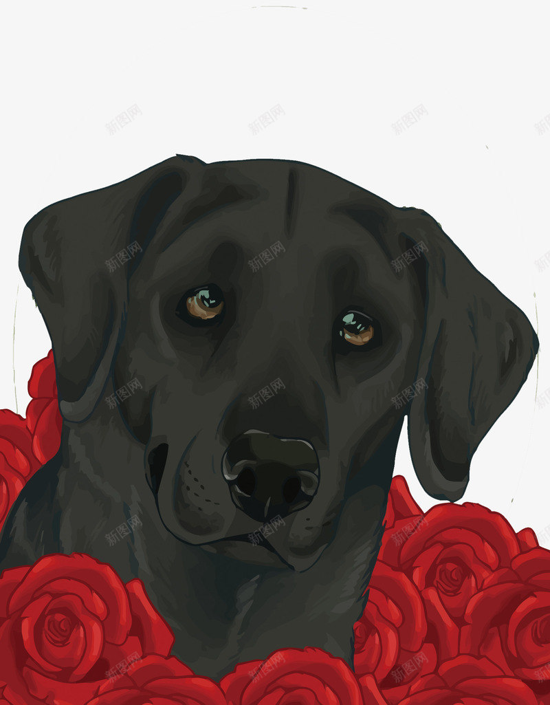黑色拉布拉多犬png免抠素材_新图网 https://ixintu.com PNG图片 PNG图片素材 PNG素材 PNG素材免费下载 宠物 拉布拉多犬 玫瑰花