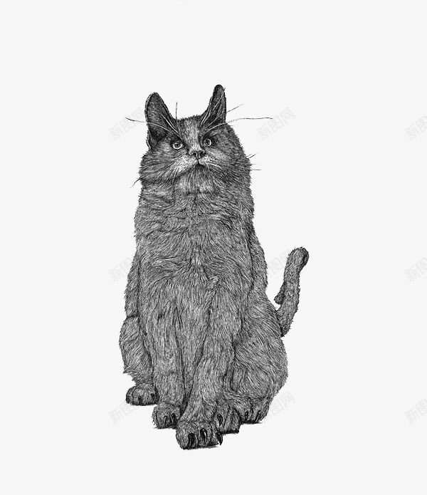 黑白插画猫咪png免抠素材_新图网 https://ixintu.com 插画 猫咪 简约 黑白