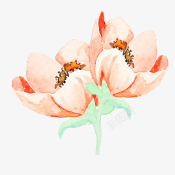 唯美粉红色花朵花蕊手绘水彩花朵矢量图素材