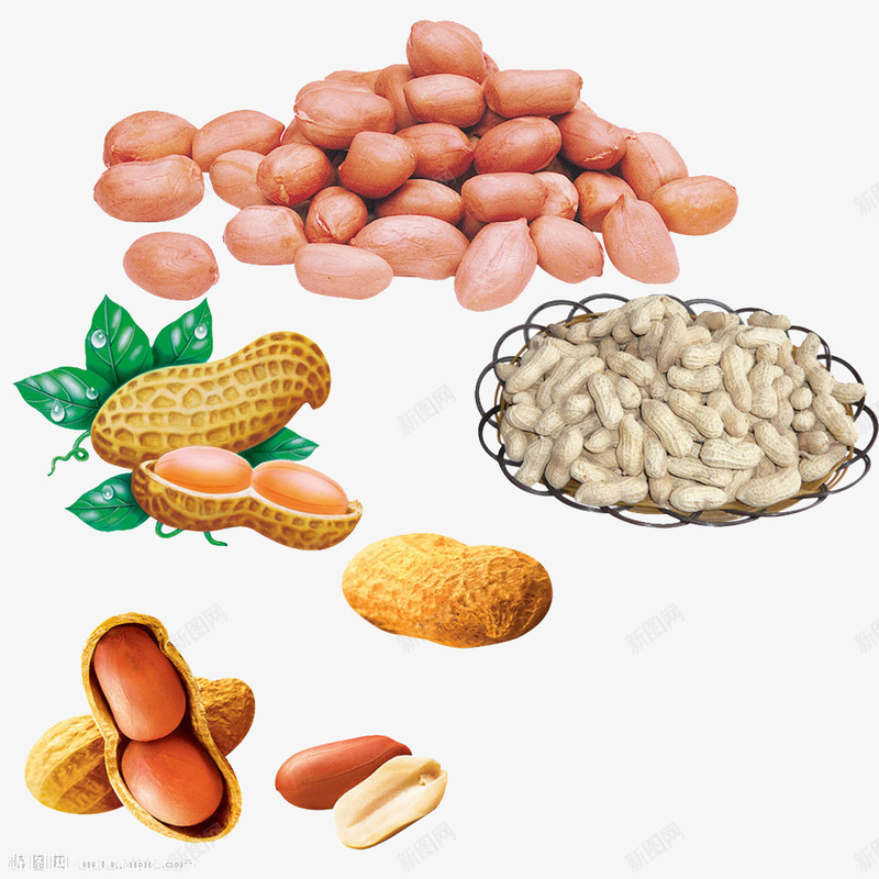 坚果干果png免抠素材_新图网 https://ixintu.com 坚果图片 坚果素材 炒货 食品 食物