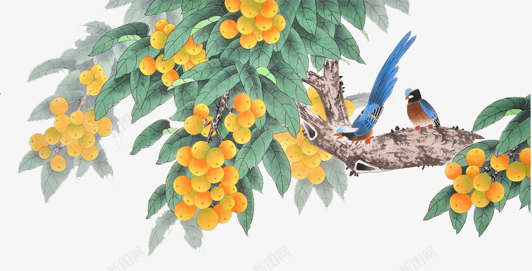 枇杷树背景png免抠素材_新图网 https://ixintu.com 中国画 免扣 国画枇杷叶 手绘 枇杷 枇杷树 枇杷花 背景 装饰 黄色