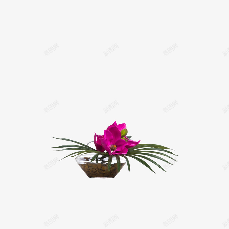 欧美流行插花绿植物鲜花软装png免抠素材_新图网 https://ixintu.com 大气 概念方案装饰 欧美流行插花 欧美软装设计方案素材 玻璃瓶 精美 精致 绿植物 美化艺术 艺术插花 花艺艺术免费下载 软装 软装设计 软装配饰 高品质 高精度 高质量 鲜花软装配饰