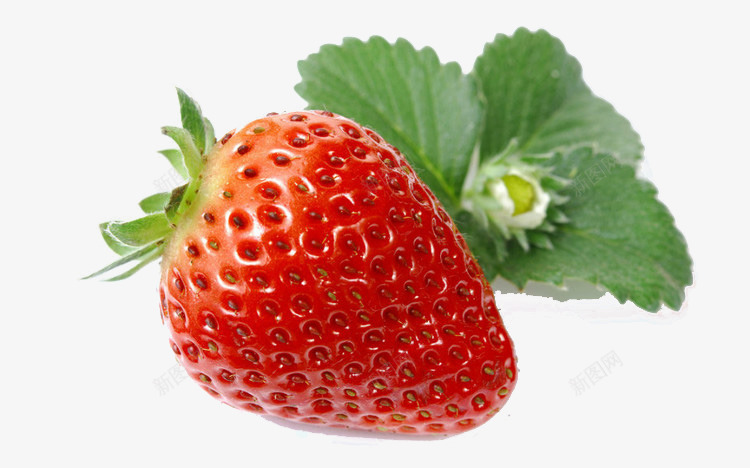 食物剪影卡通3d图标png_新图网 https://ixintu.com 3d卡通 3d水果 卡通3d素材 手绘3d图片 手绘水果 手绘水果素材 水果图标
