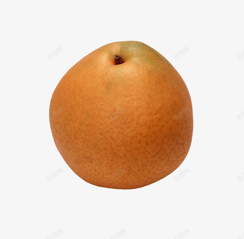 黄皮梨png免抠素材_新图网 https://ixintu.com 果实 水果 食物 黄皮梨