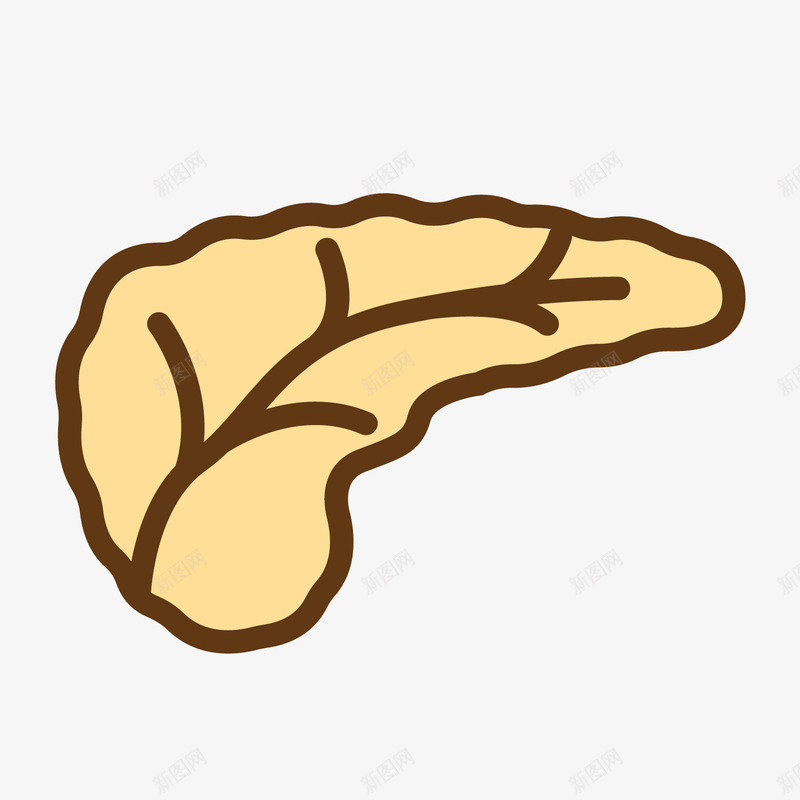 灰色手绘线稿胰腺元素矢量图eps免抠素材_新图网 https://ixintu.com 健康 商务 扁平化 手绘 灰色 纹理 胰腺 质感 矢量图