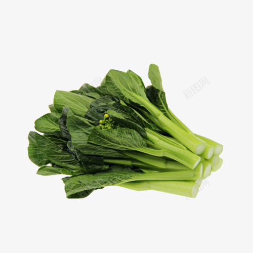 几根新鲜营养健康的绿色菜心食物png免抠素材_新图网 https://ixintu.com 健康 农业 几根新鲜营养健康的绿色菜心食物免抠免费下载 广东菜心 种植业 绿色 菜心 菜苔 蔬菜 餐饮 饮食